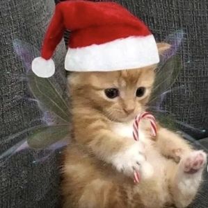 Meet your Posher, Jaslynn